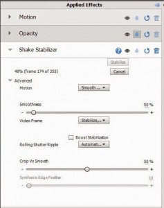 Adobe Elements Shake Stabilizer
